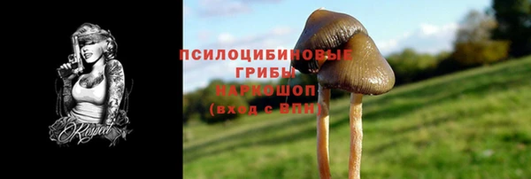 дурь Наволоки