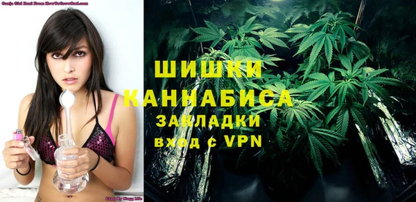 дживик Надым