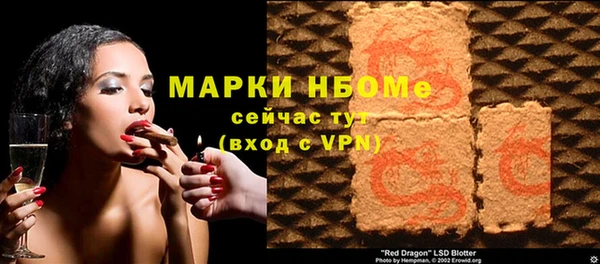 дживик Надым