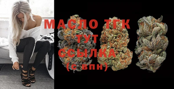 дживик Надым
