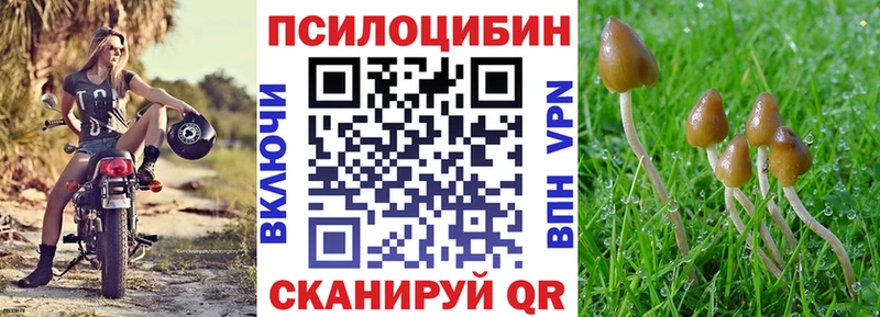 Псилоцибиновые грибы Cubensis  Злынка 
